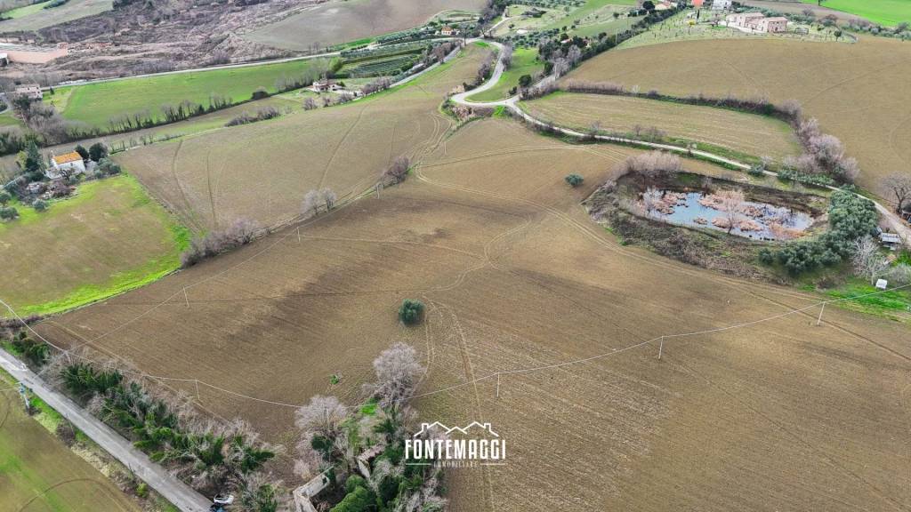 immagine annuncio 7 di 14