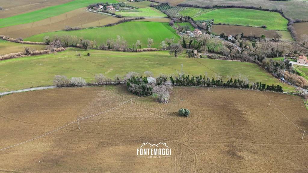 immagine annuncio 8 di 14