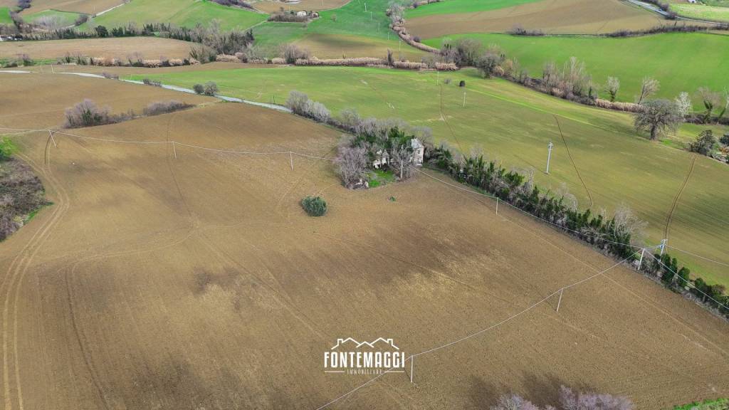 immagine annuncio 10 di 14