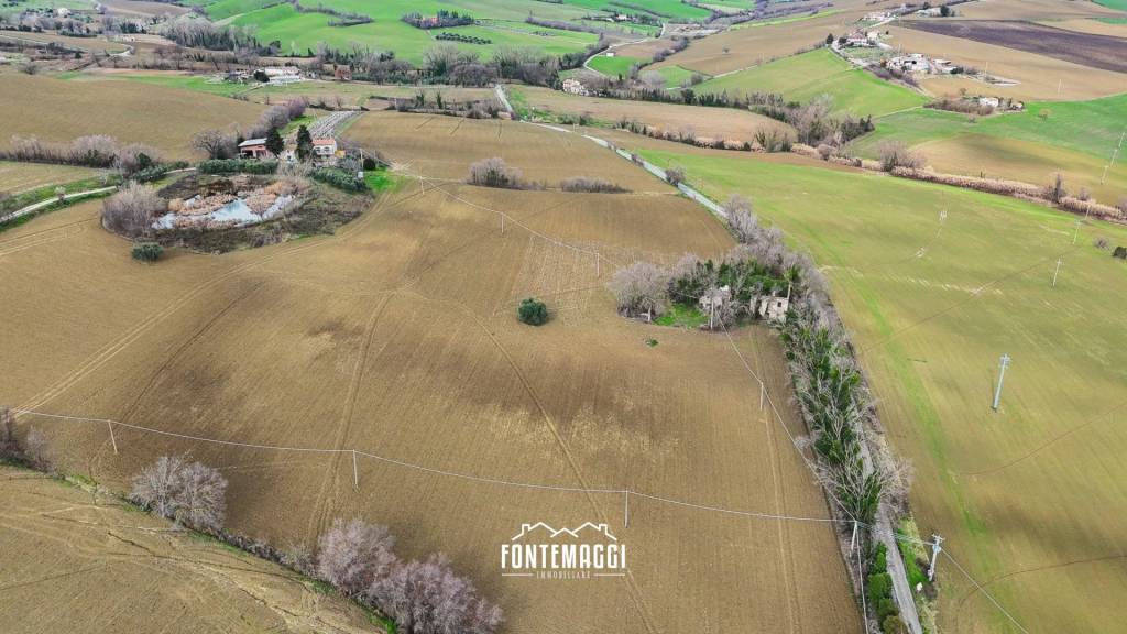 immagine annuncio 11 di 14