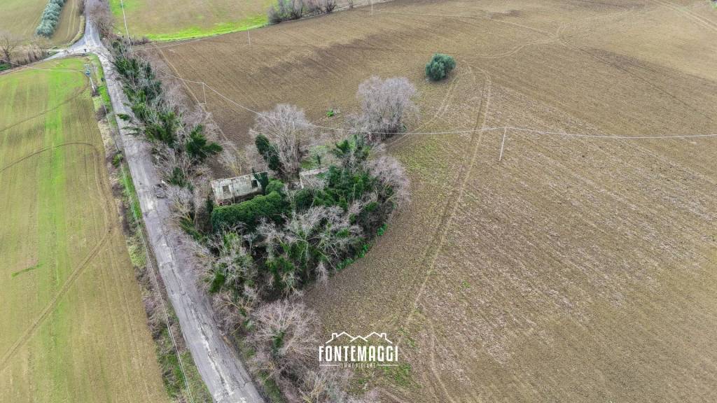 immagine annuncio 12 di 14