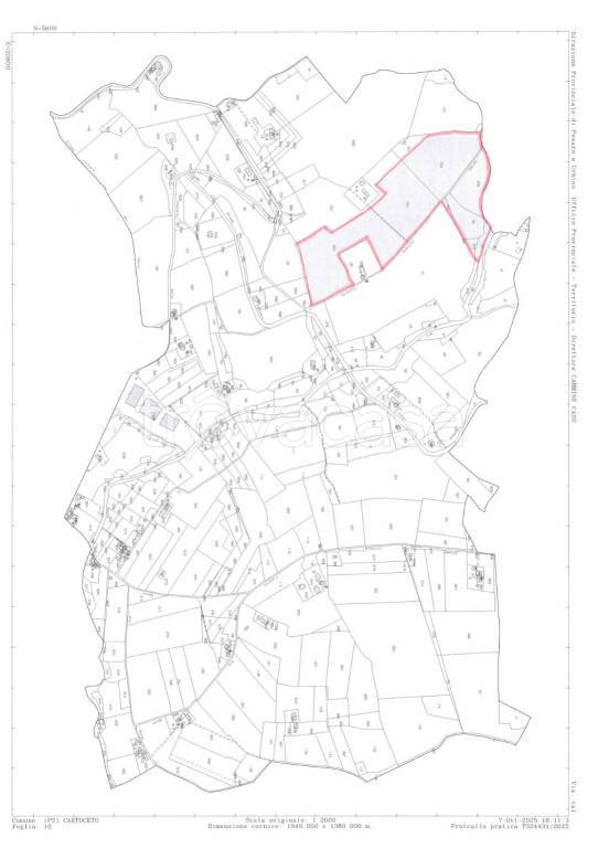 immagine annuncio 13 di 14