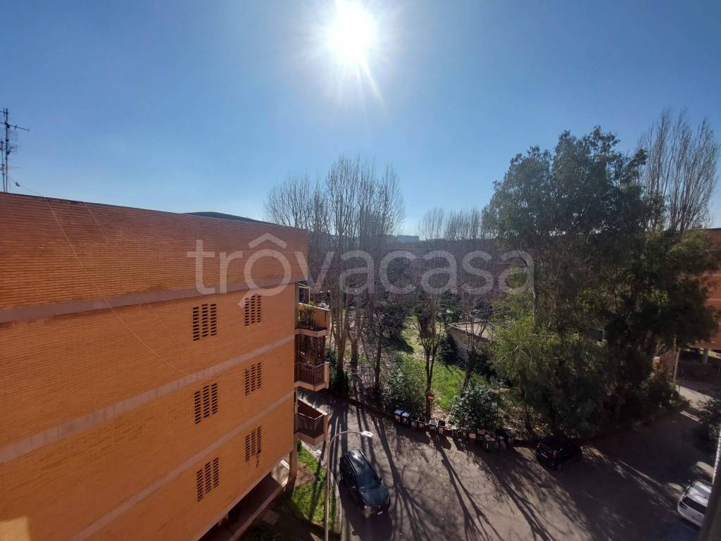 immagine annuncio 1 di 14