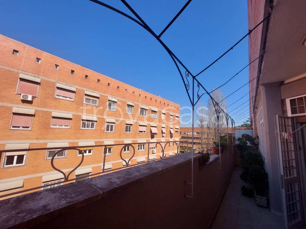 immagine annuncio 6 di 14