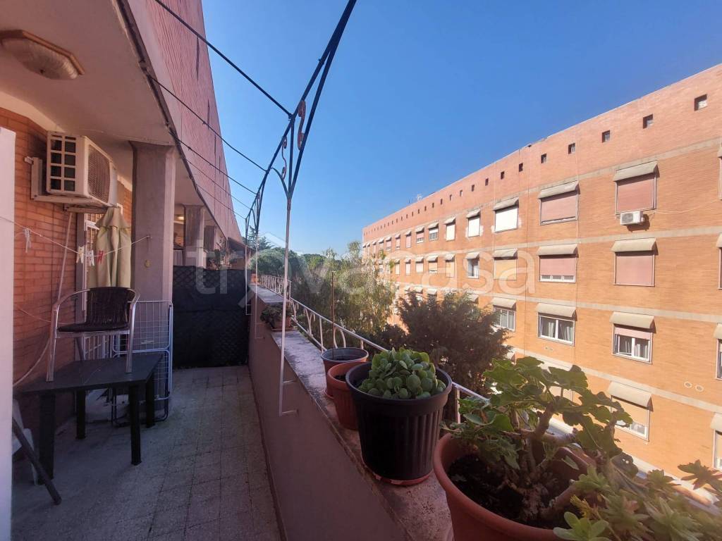 immagine annuncio 7 di 14