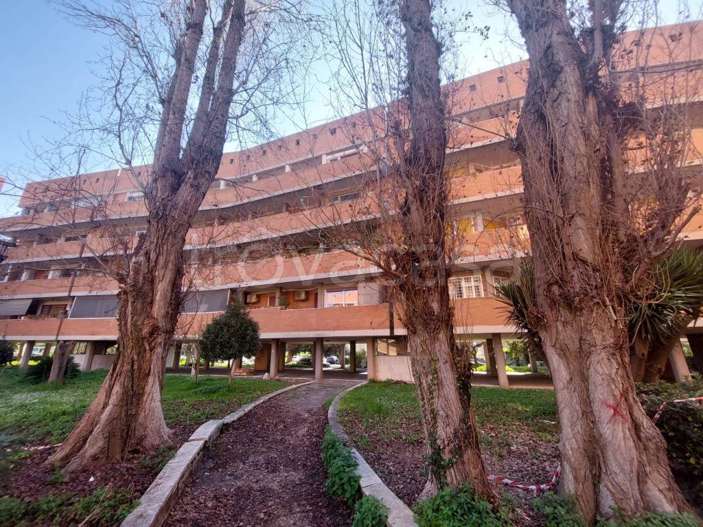 immagine annuncio 8 di 14