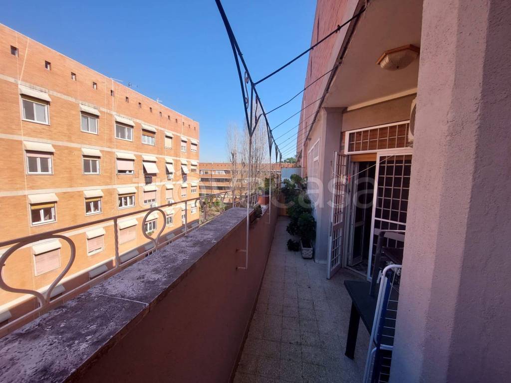 immagine annuncio 9 di 14