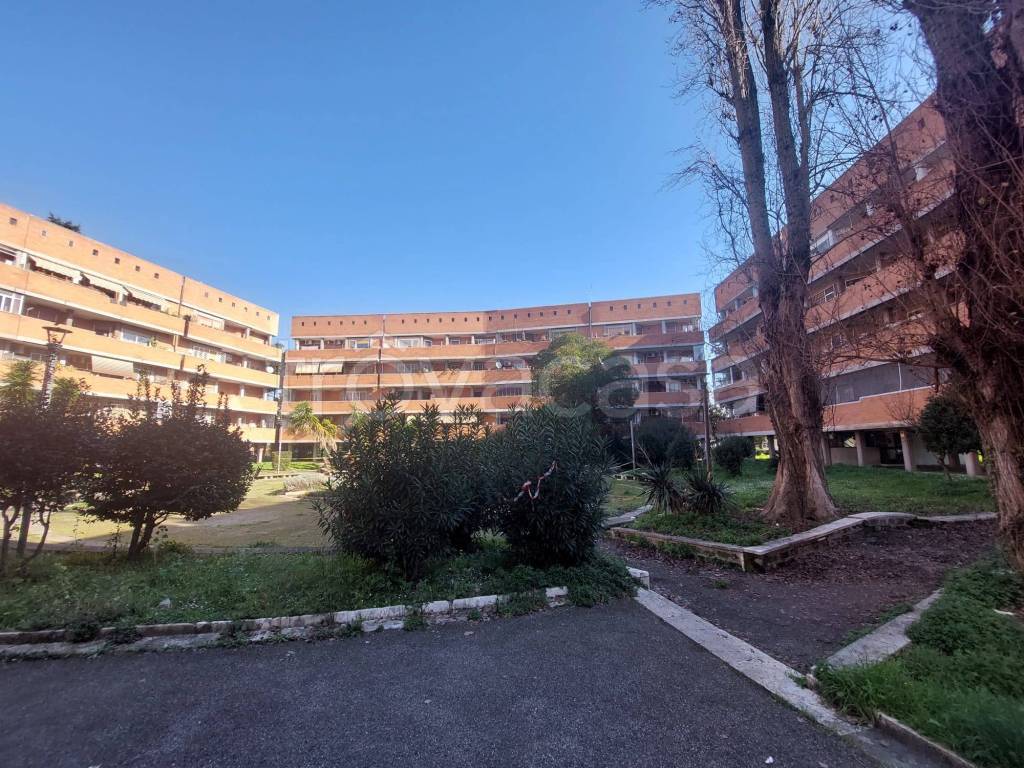 immagine annuncio 10 di 14