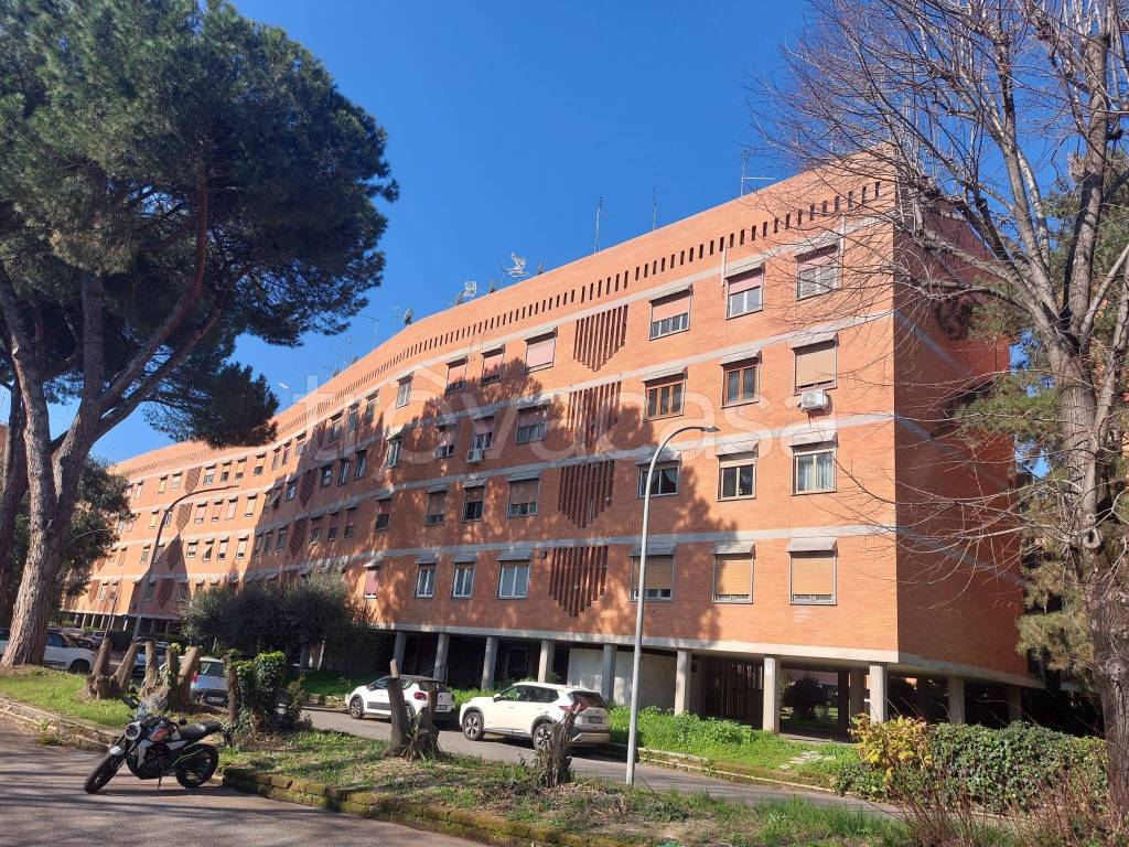 immagine annuncio 11 di 14