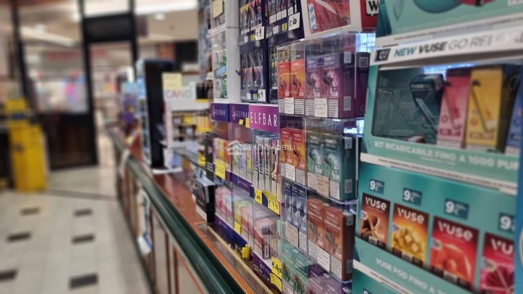 immagine annuncio 11 di 15