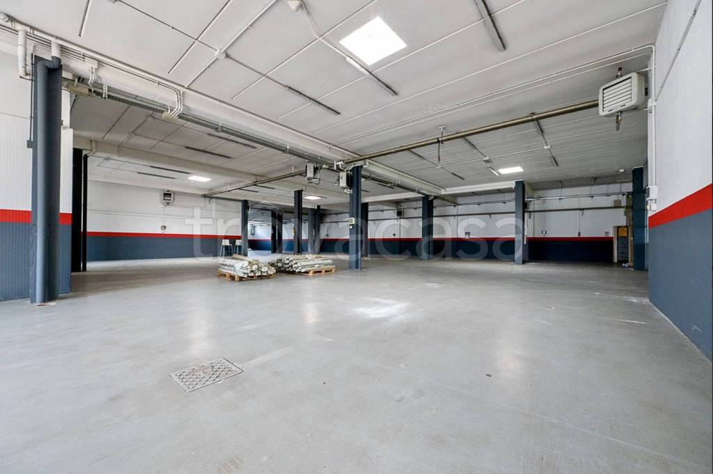 immagine annuncio 3 di 9