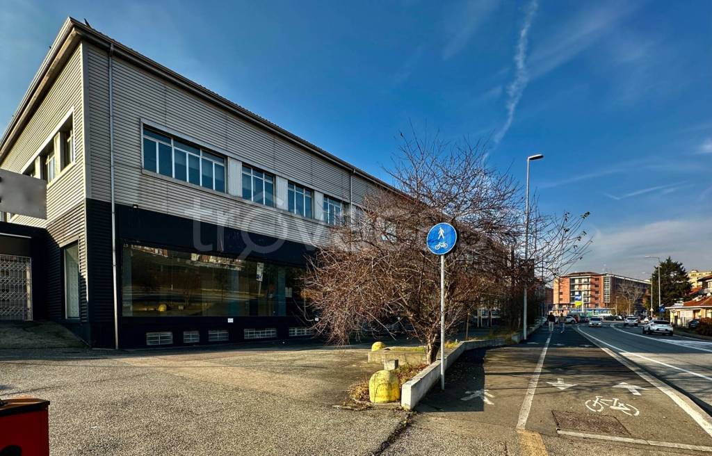 immagine annuncio 4 di 9