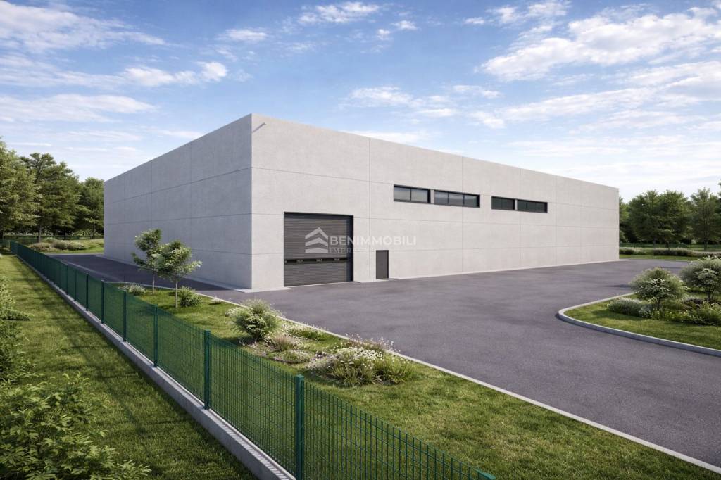 immagine annuncio 2 di 7