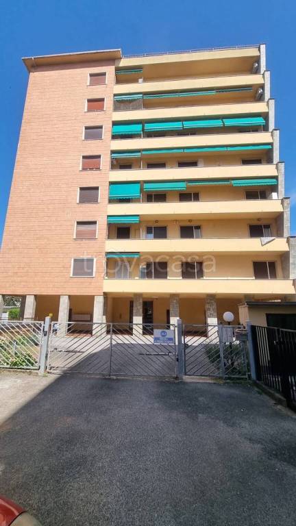 immagine annuncio 3 di 15