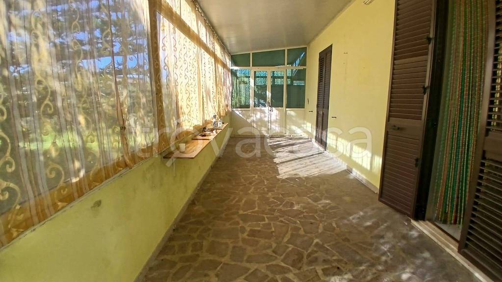 immagine annuncio 6 di 7