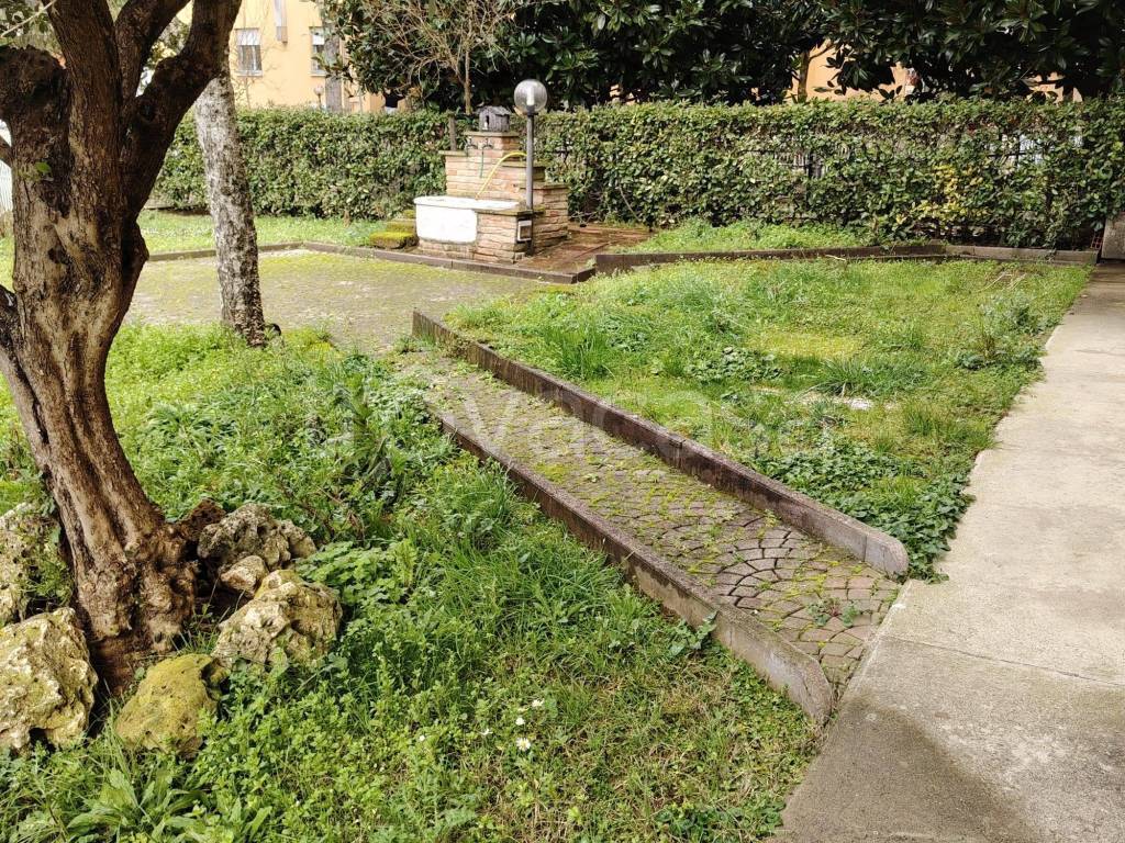 immagine annuncio 3 di 14