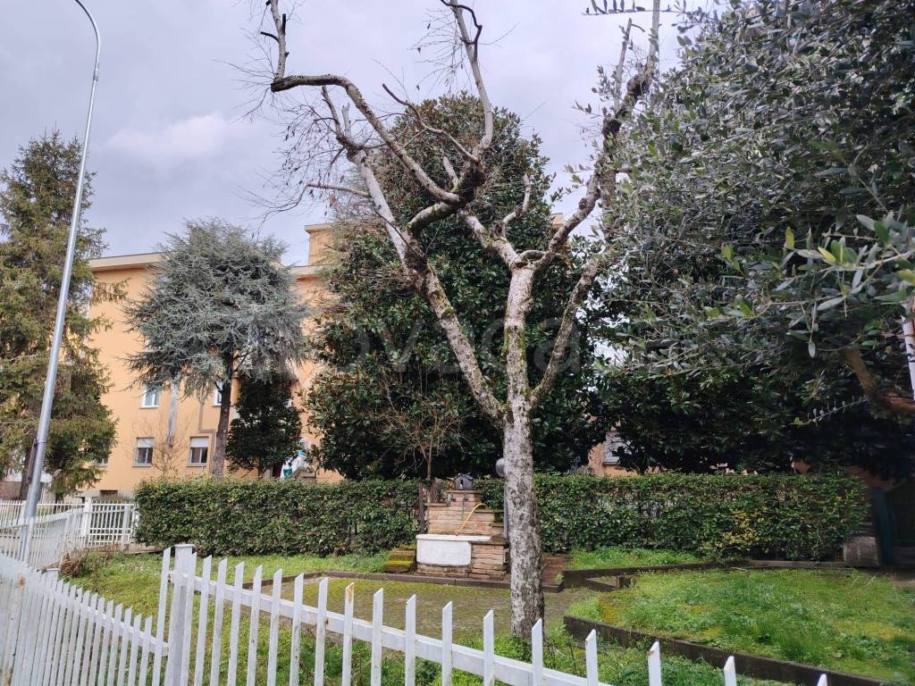 immagine annuncio 12 di 14