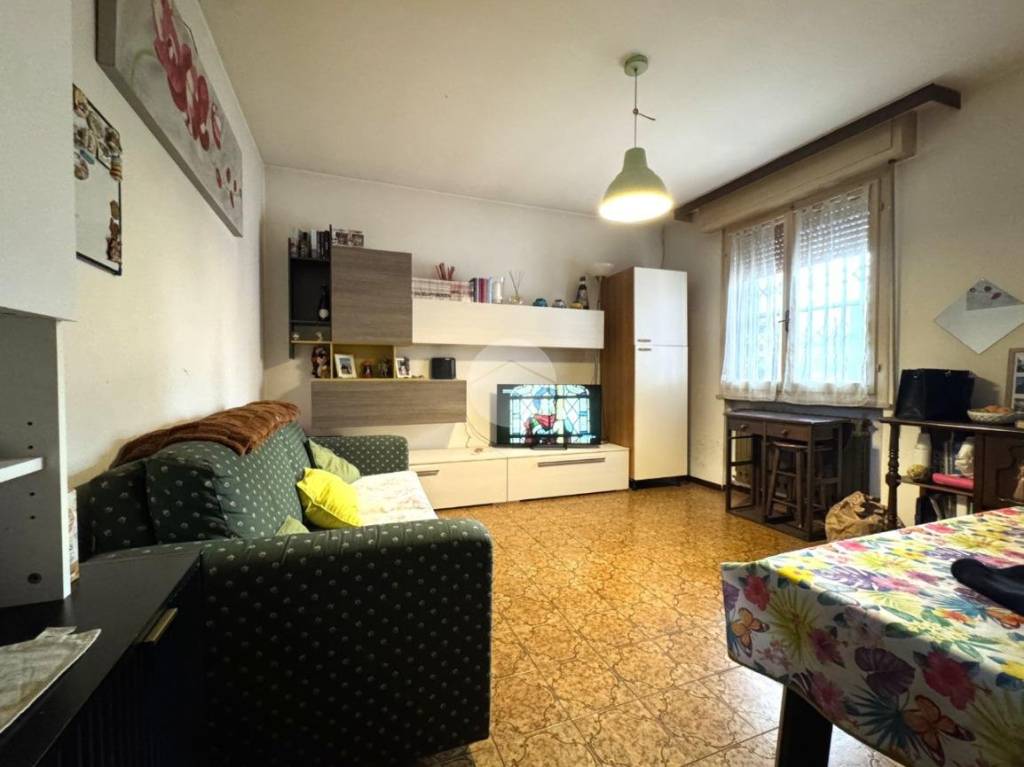 immagine annuncio 3 di 14