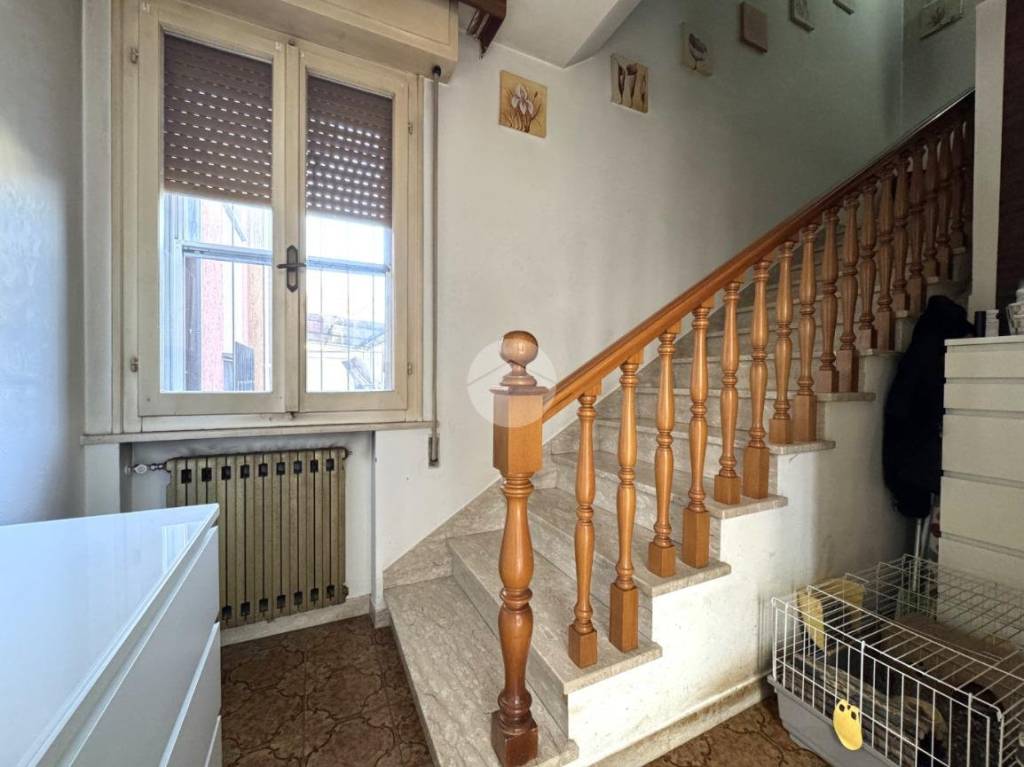 immagine annuncio 5 di 14