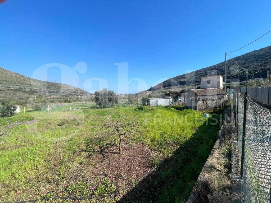 immagine annuncio 4 di 13