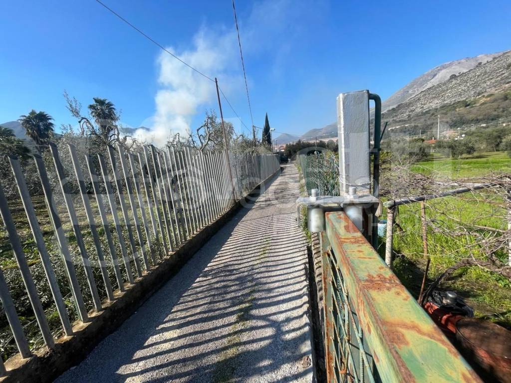 immagine annuncio 12 di 13