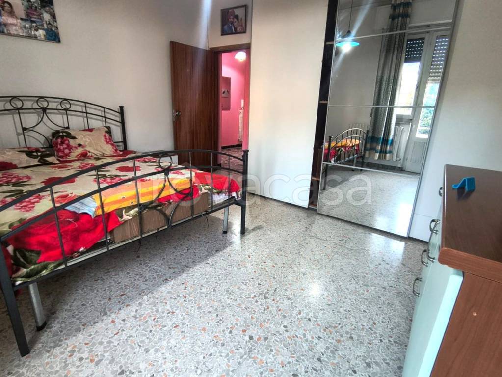 immagine annuncio 5 di 14