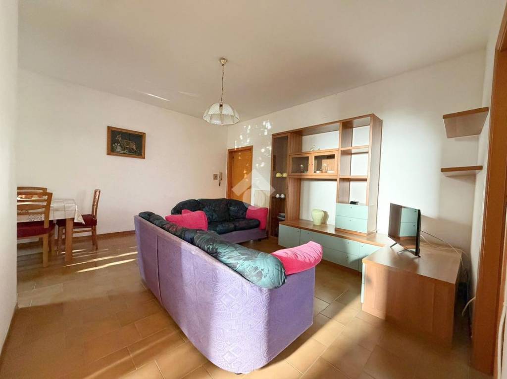 immagine annuncio 1 di 14