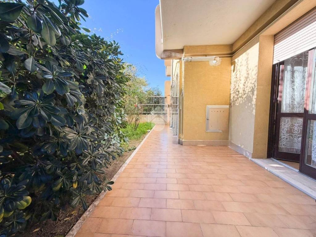 immagine annuncio 6 di 14