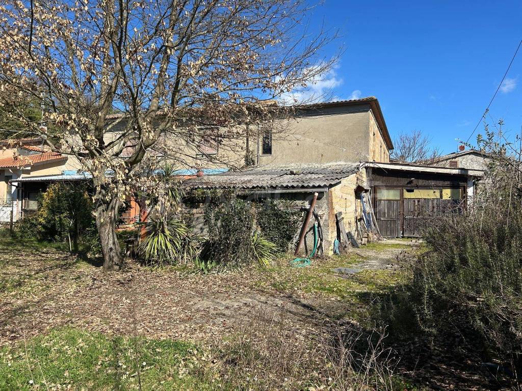 immagine annuncio 3 di 11