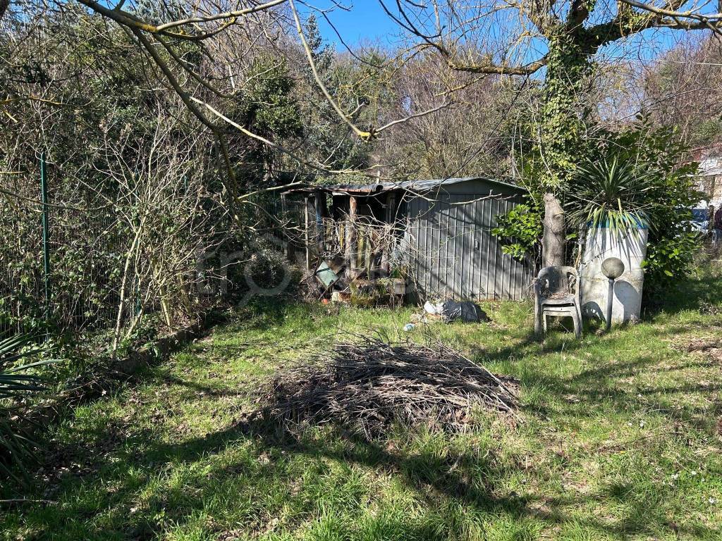 immagine annuncio 10 di 11