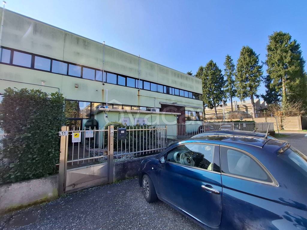 immagine annuncio 3 di 15