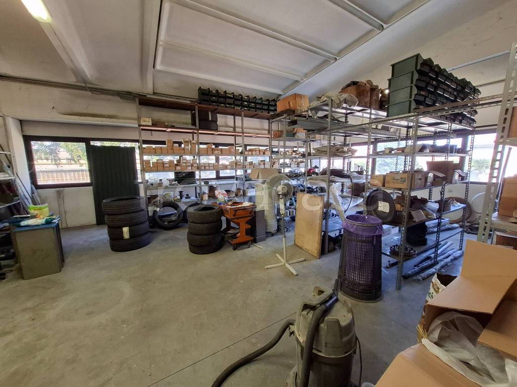 immagine annuncio 9 di 15