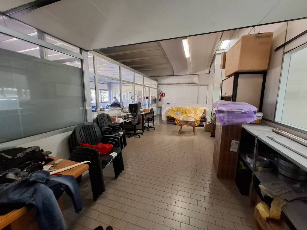 immagine annuncio 13 di 15