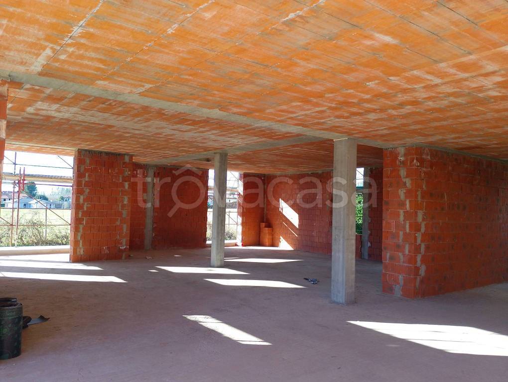 immagine annuncio 3 di 6