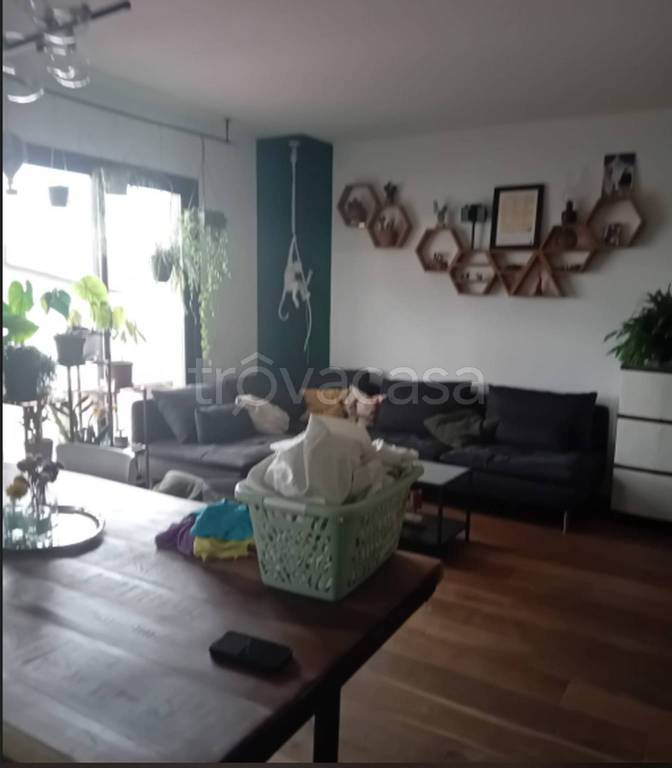 immagine annuncio 3 di 12