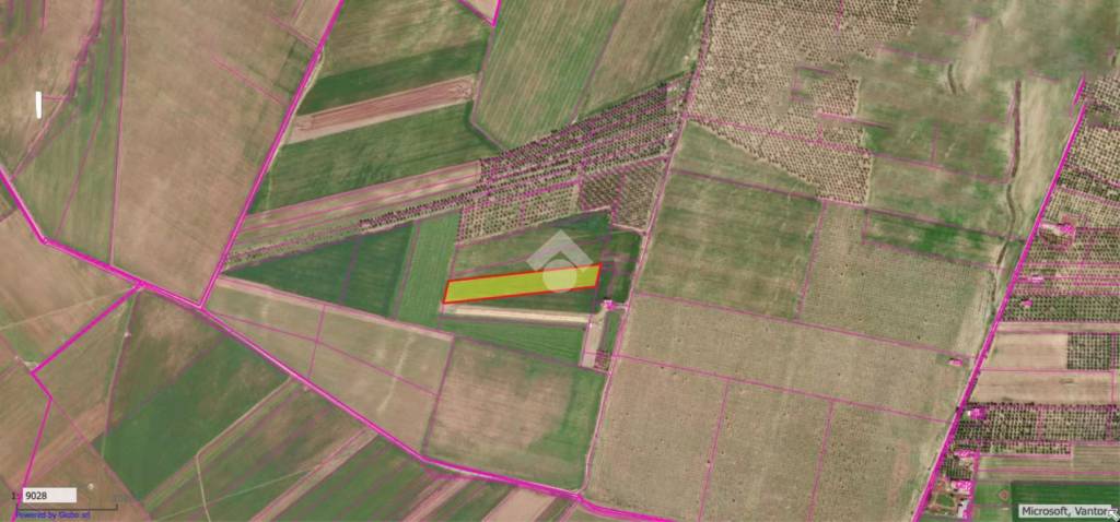 immagine annuncio 1 di 8