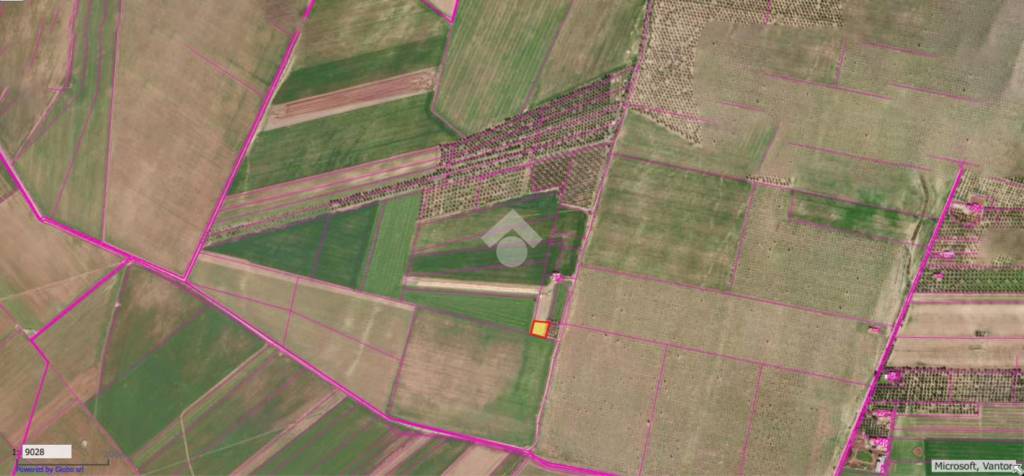 immagine annuncio 2 di 8