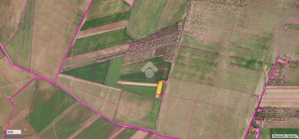 immagine annuncio 3 di 8