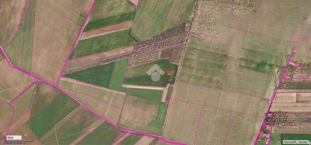 immagine annuncio 5 di 8