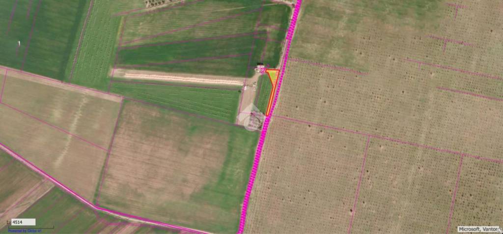 immagine annuncio 6 di 8