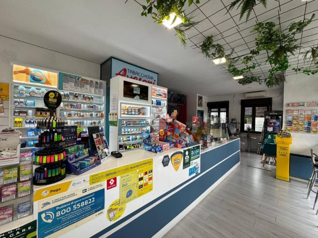 immagine annuncio 7 di 15