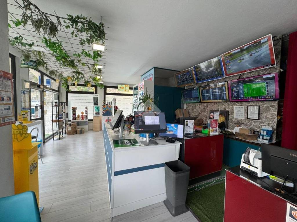 immagine annuncio 12 di 15