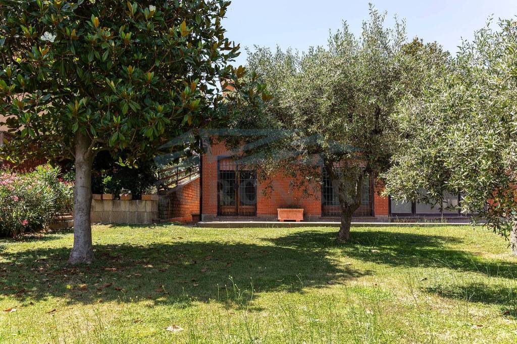 immagine annuncio 9 di 12