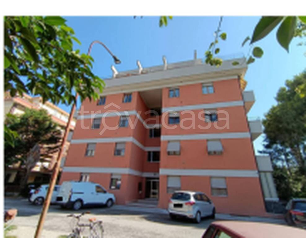 immagine annuncio 2 di 14