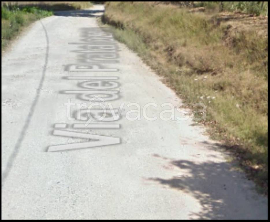 immagine annuncio 4 di 12