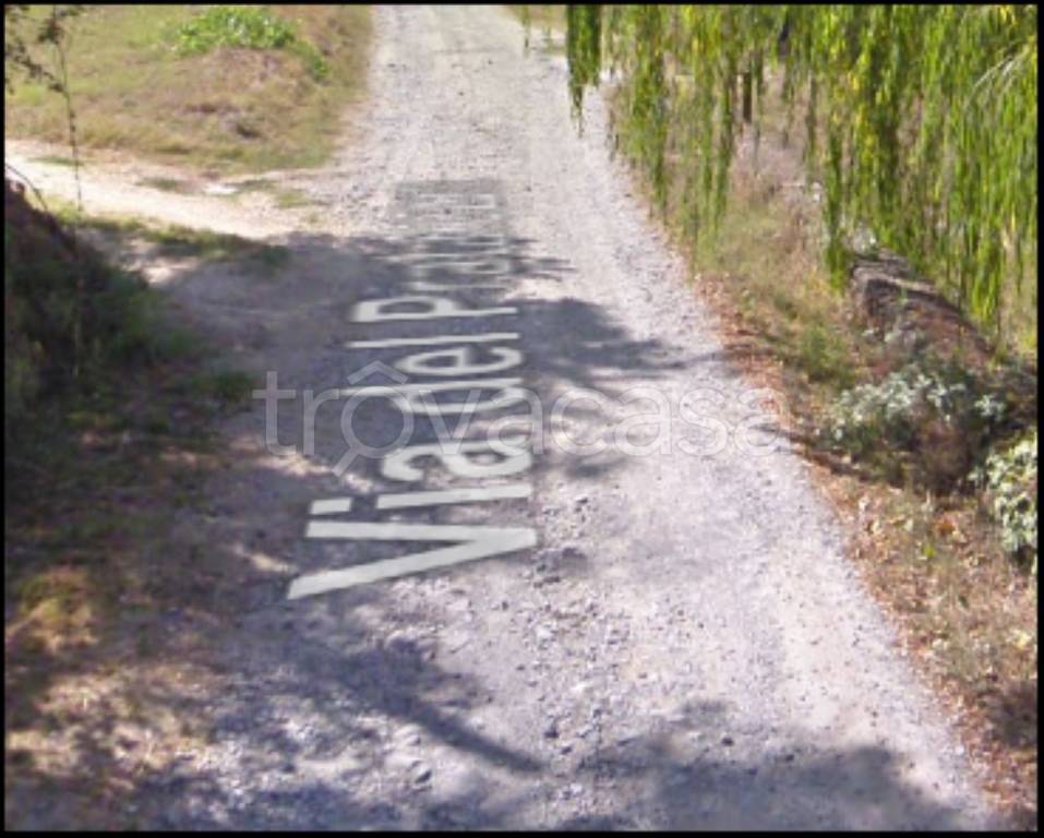 immagine annuncio 7 di 12