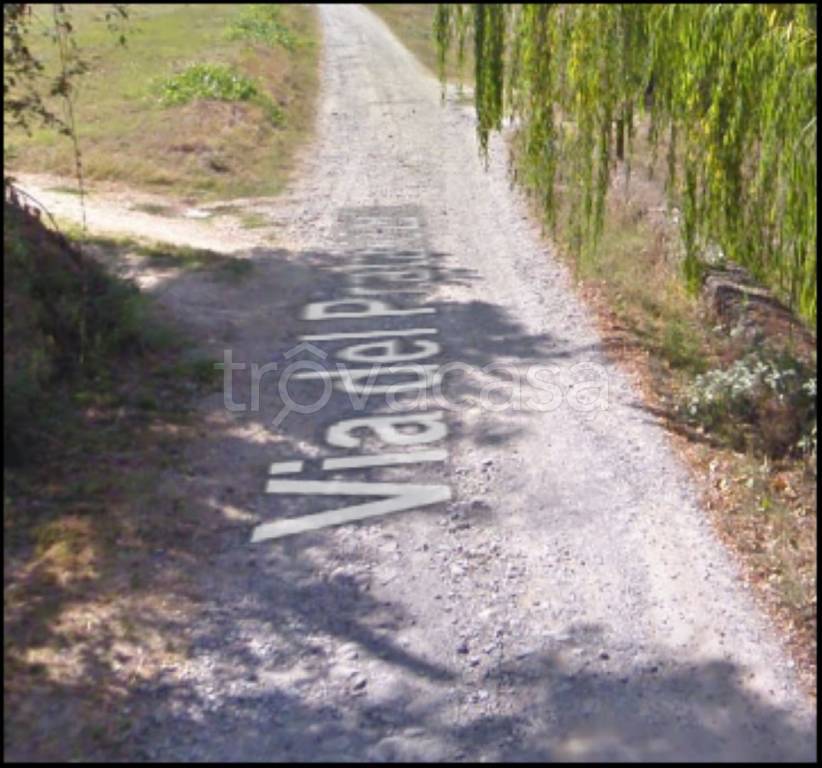 immagine annuncio 8 di 12