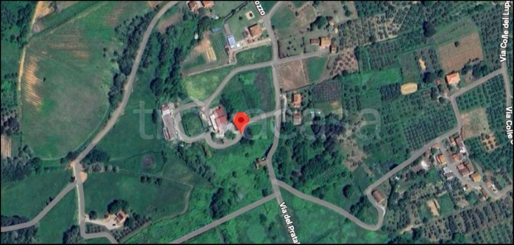 immagine annuncio 11 di 12