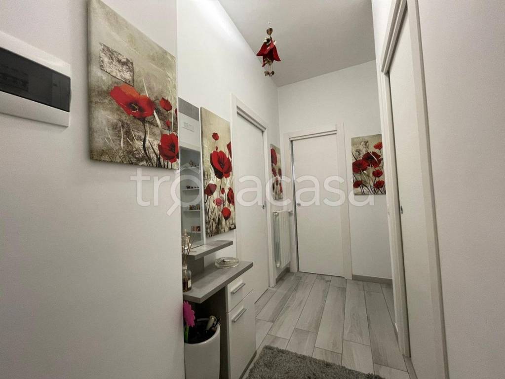 immagine annuncio 4 di 12