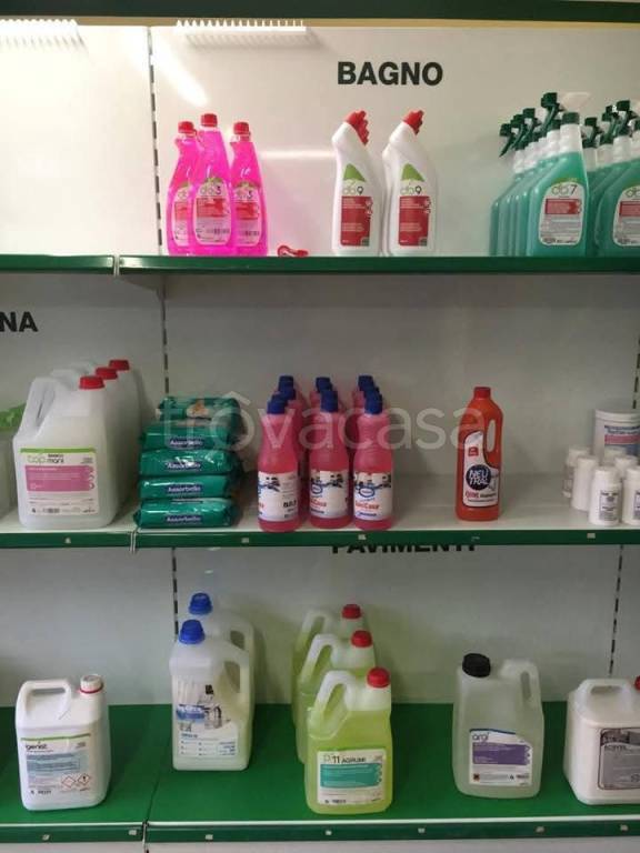 immagine annuncio 5 di 11